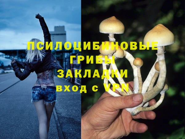 бошки Армянск